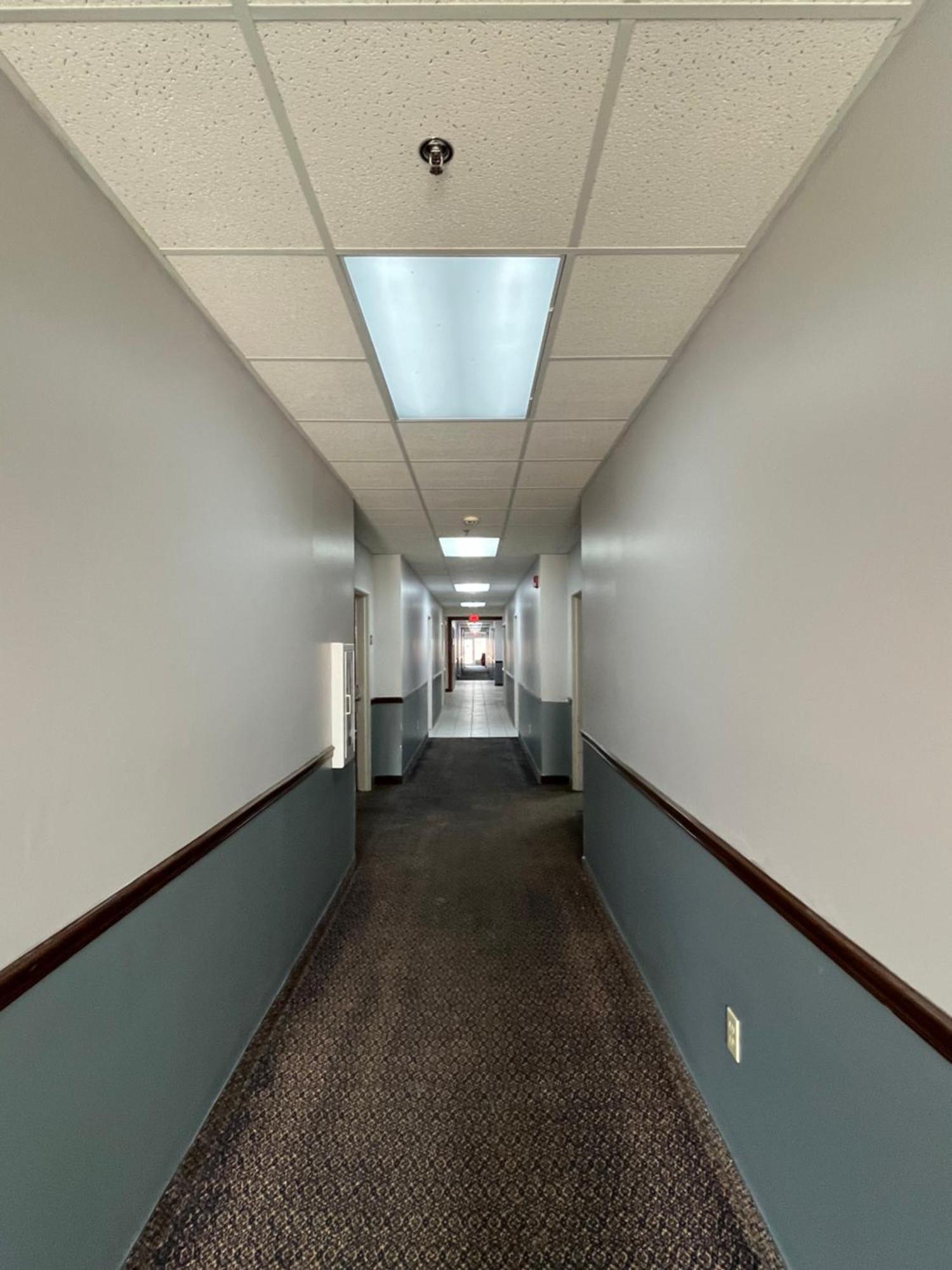 Springfield Inn エクステリア 写真